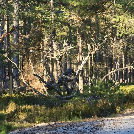 Puhkemaja Roostasalu *